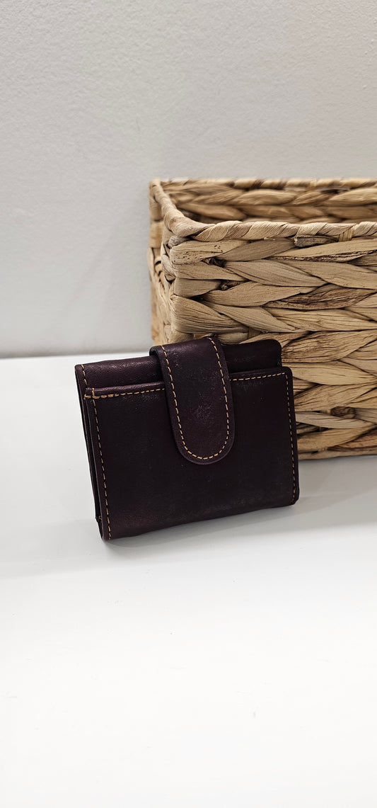 CARTERA BERENJENA