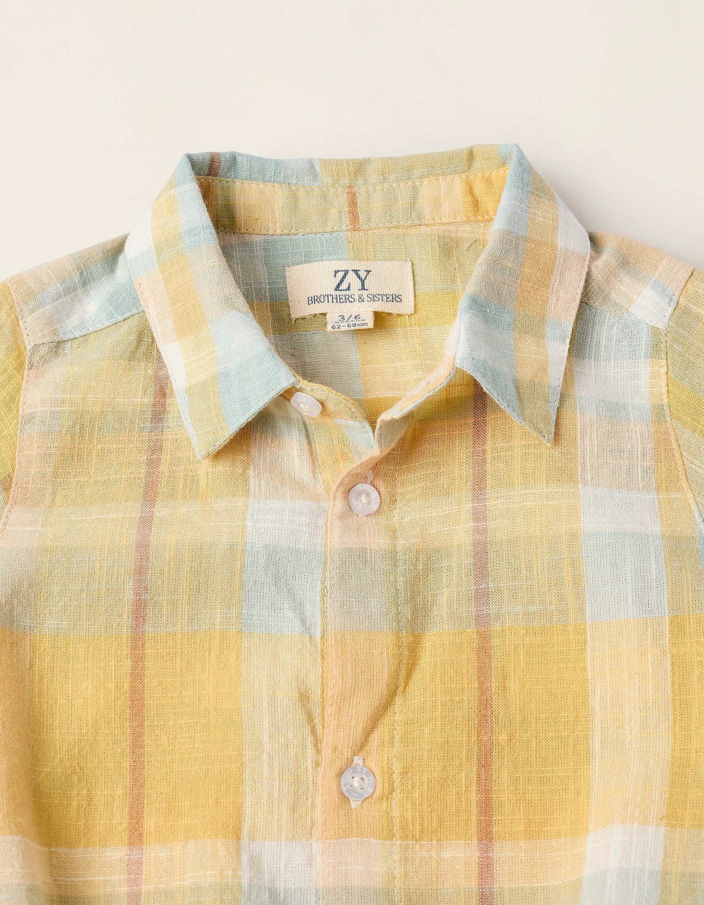 BODY CAMISA