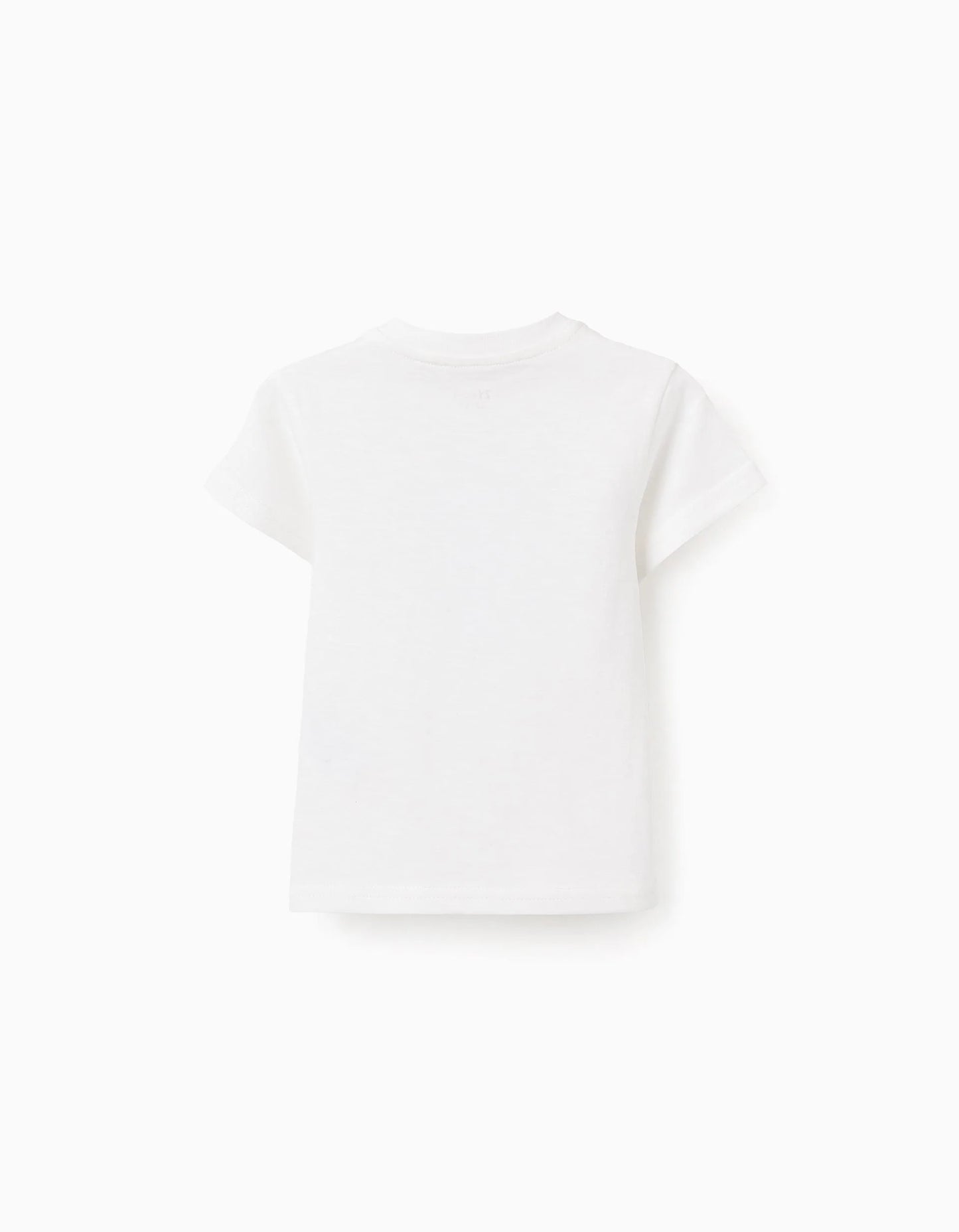 CAMISETA ´BE CURIOUS´