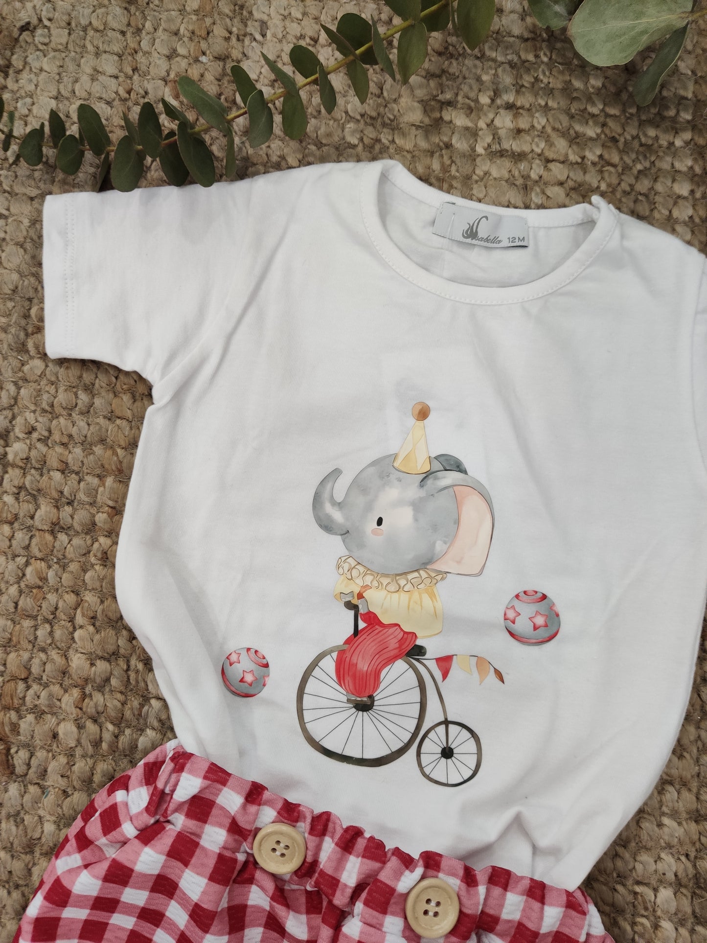 CONJUNTO ELEFANTE NIÑO