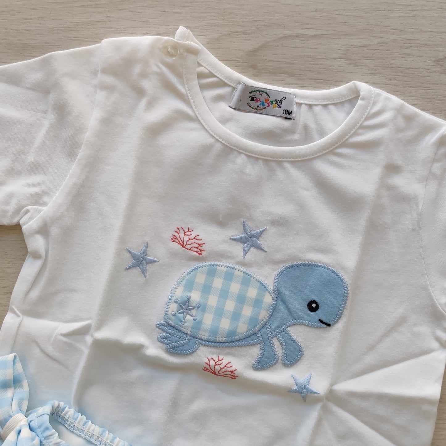 CONJUNTO TORTUGA