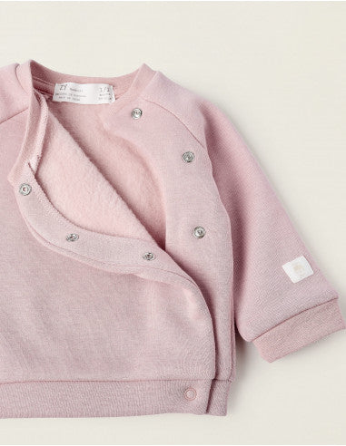 CONJUNTO POLAR