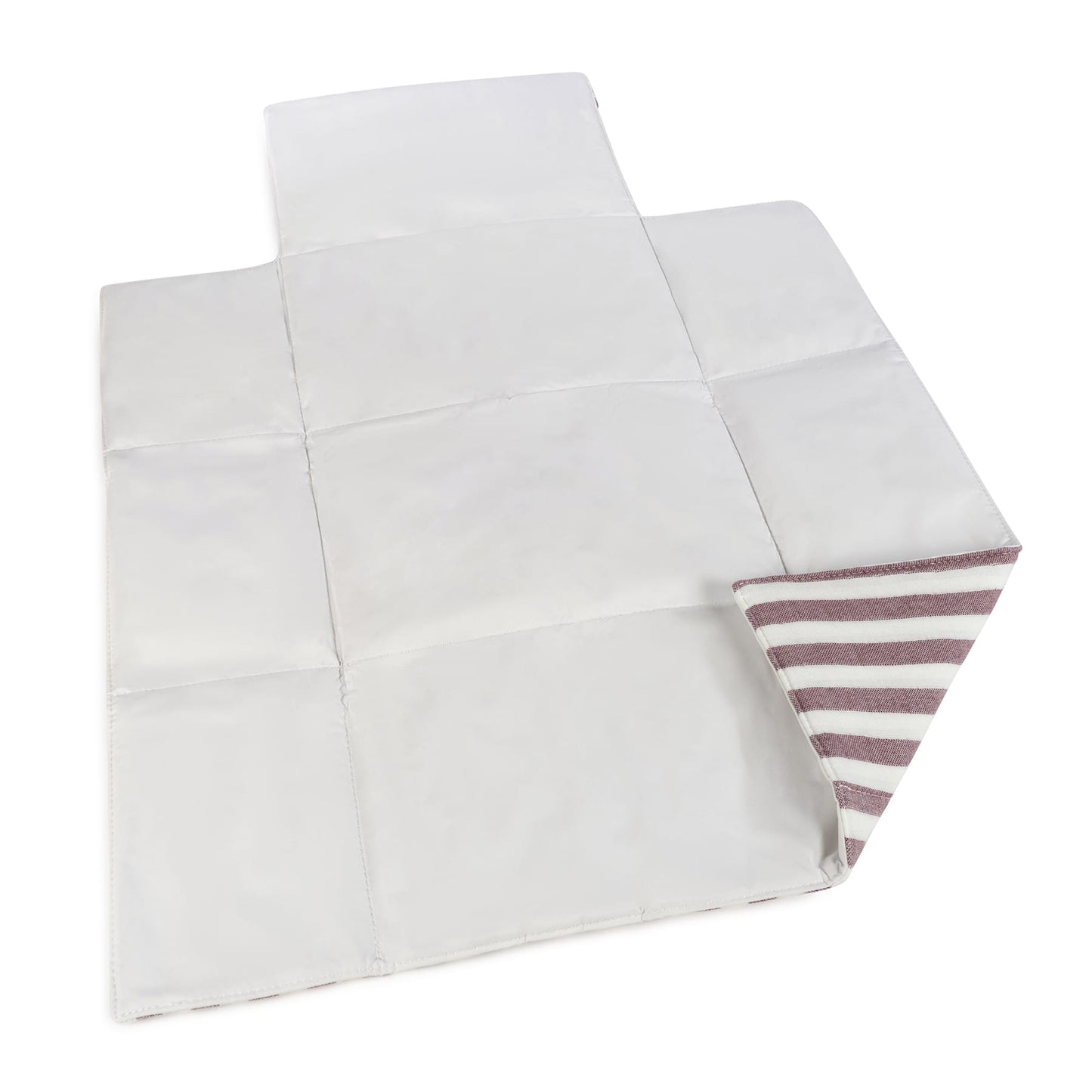 CAMBIADOR CHERRY RAYAS