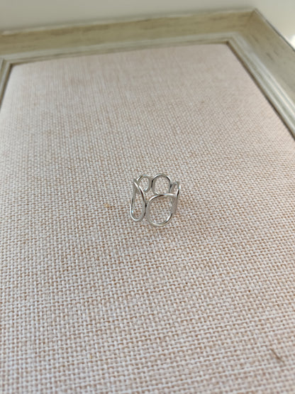 ANILLO V