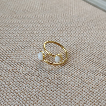 ANILLO PIO