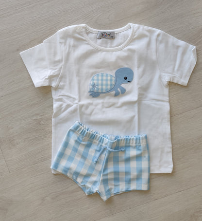 CONJUNTO TORTUGA