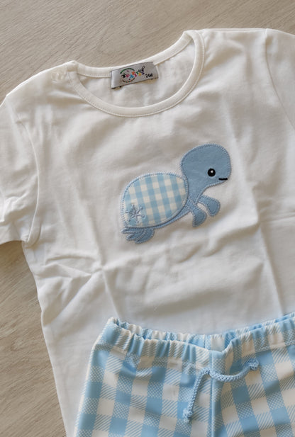 CONJUNTO TORTUGA