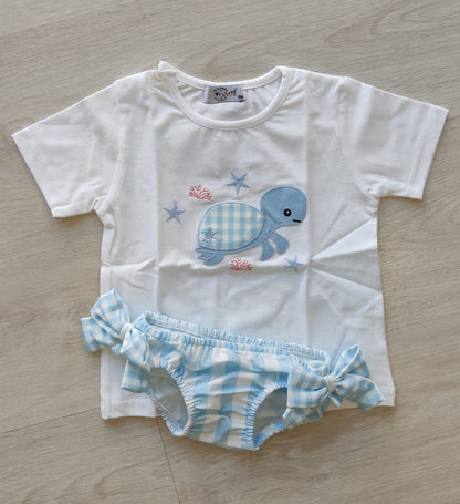 CONJUNTO TORTUGA
