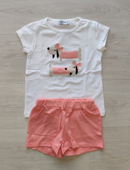 CONJUNTO PERRITO