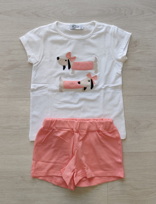 CONJUNTO PERRITO