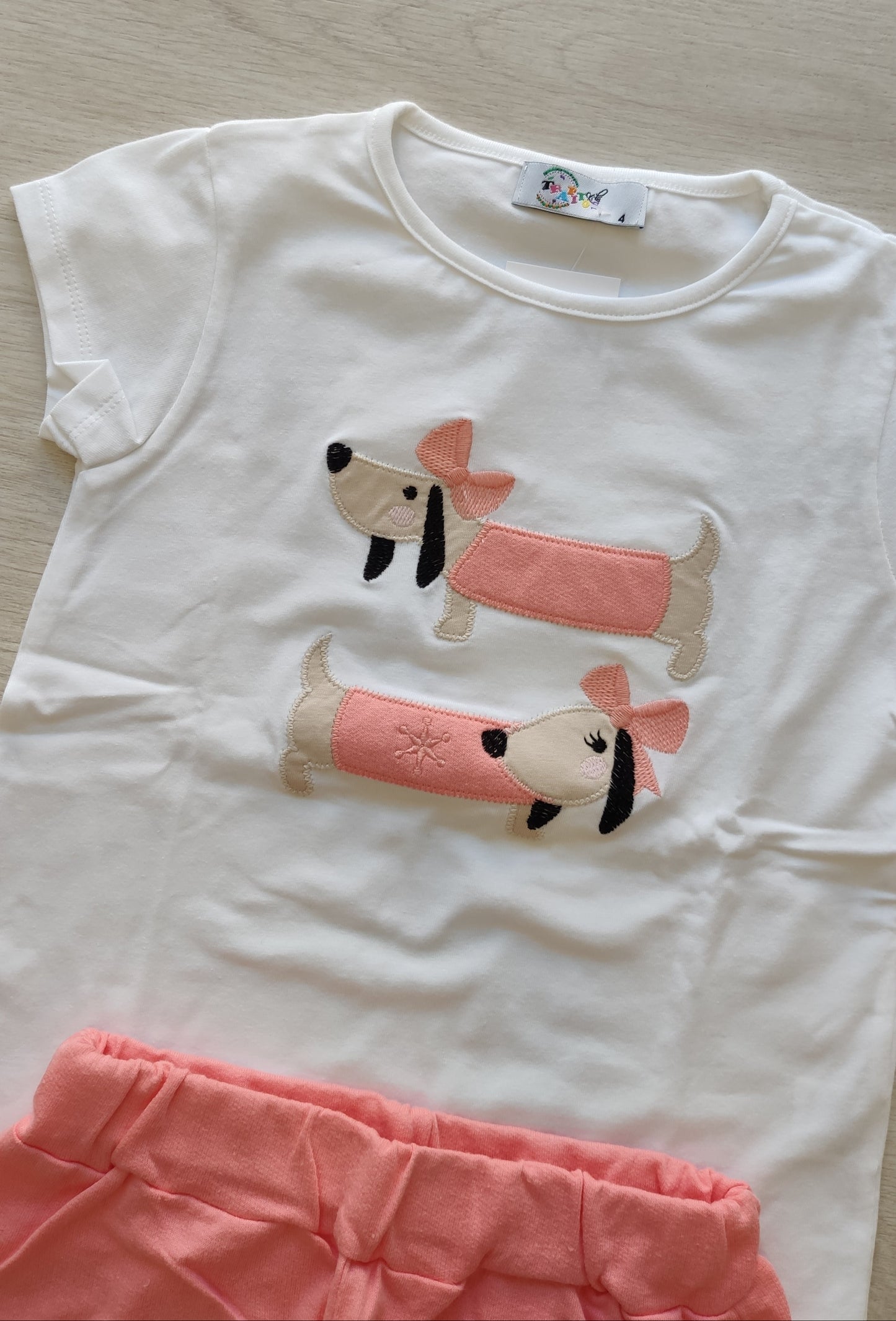CONJUNTO PERRITO