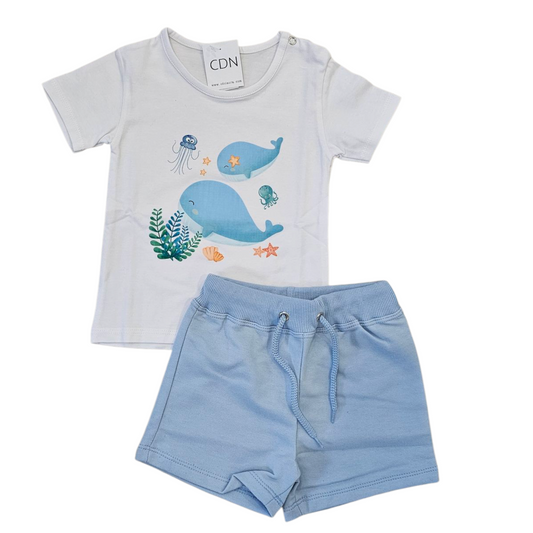 CONJUNTO BALLENAS